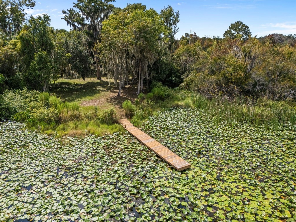 4235 Jennings Fish Camp Road Lake Wales FL 33898 - LAKE PIERCE W7879297 image89