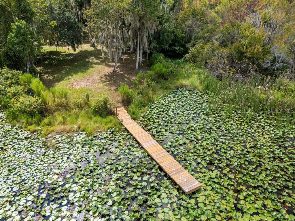 4235 Jennings Fish Camp Road Lake Wales FL 33898 - LAKE PIERCE W7879297 image90