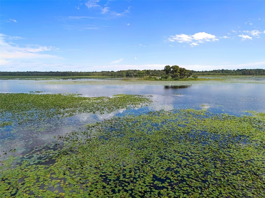 4235 Jennings Fish Camp Road Lake Wales FL 33898 - LAKE PIERCE W7879297 image91