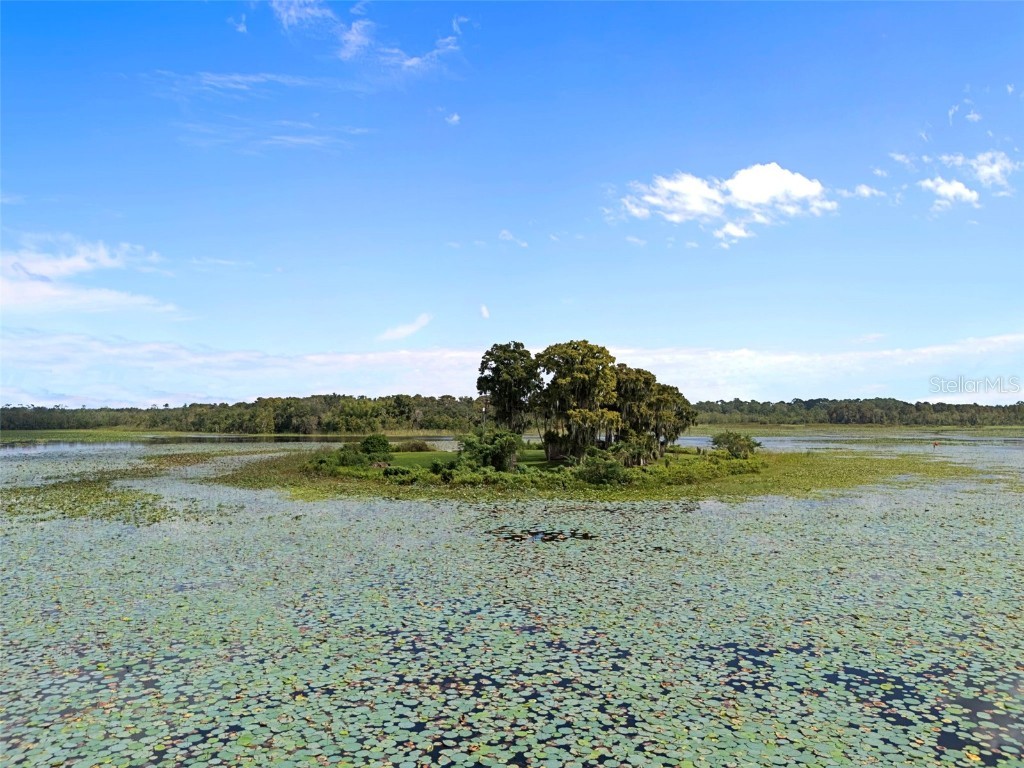 4235 Jennings Fish Camp Road Lake Wales FL 33898 - LAKE PIERCE W7879297 image92