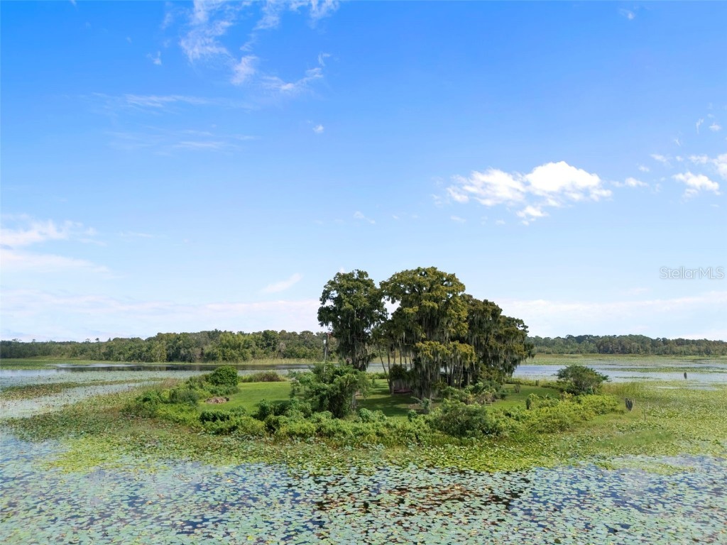 4235 Jennings Fish Camp Road Lake Wales FL 33898 - LAKE PIERCE W7879297 image93