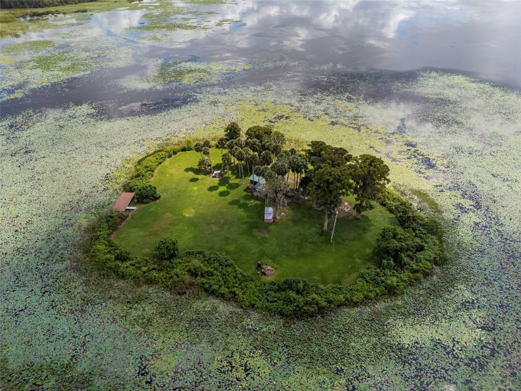 4235 Jennings Fish Camp Road Lake Wales FL 33898 - LAKE PIERCE W7879297 image95