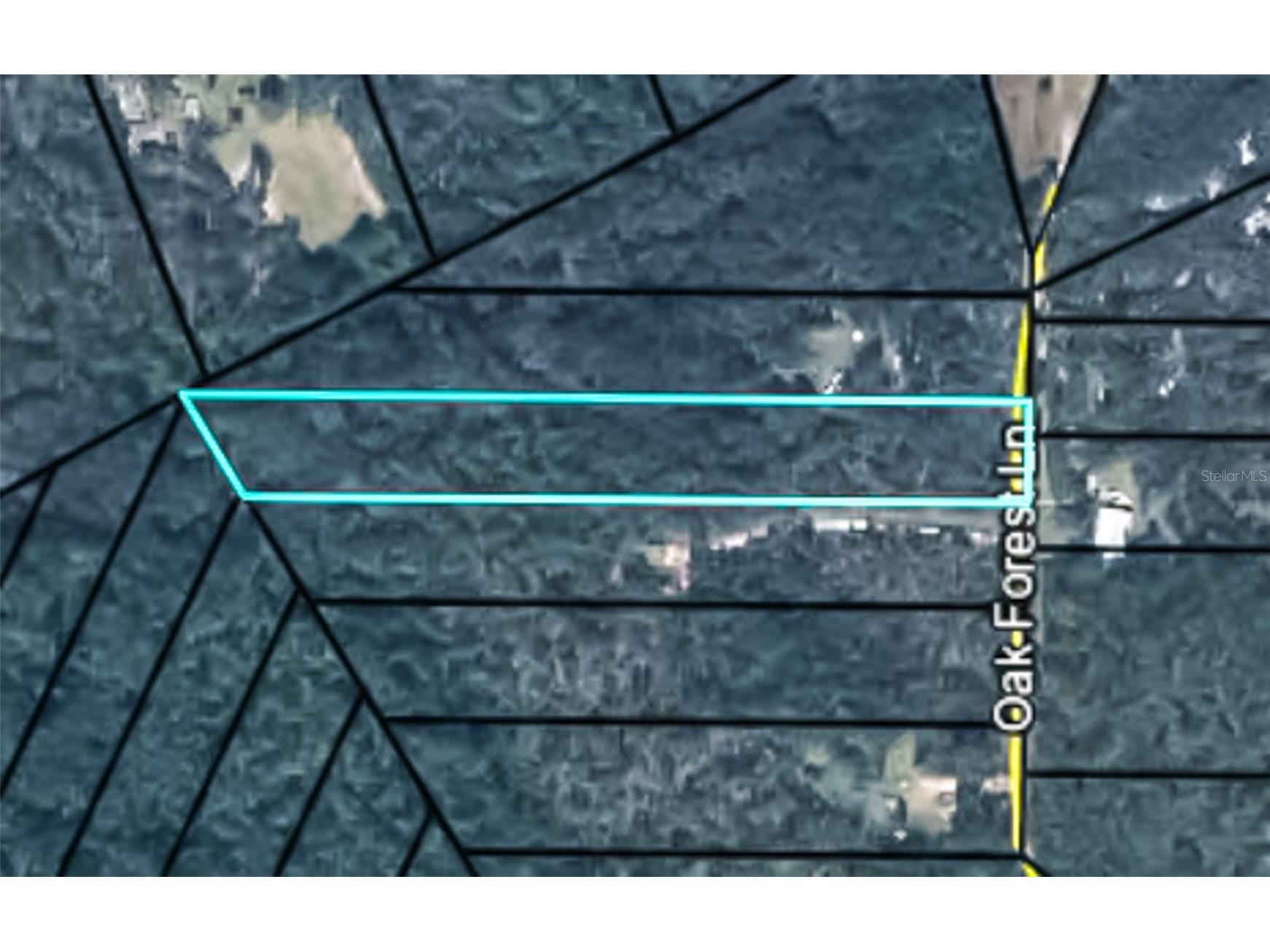 4235 Oak Forest Lane Keystone Heights FL 32656 GC536613 image1