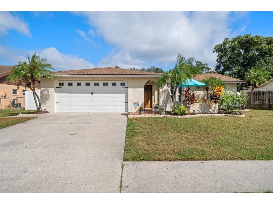 4236 Riverwood Drive New Port Richey FL 34653 TB8433979 image4