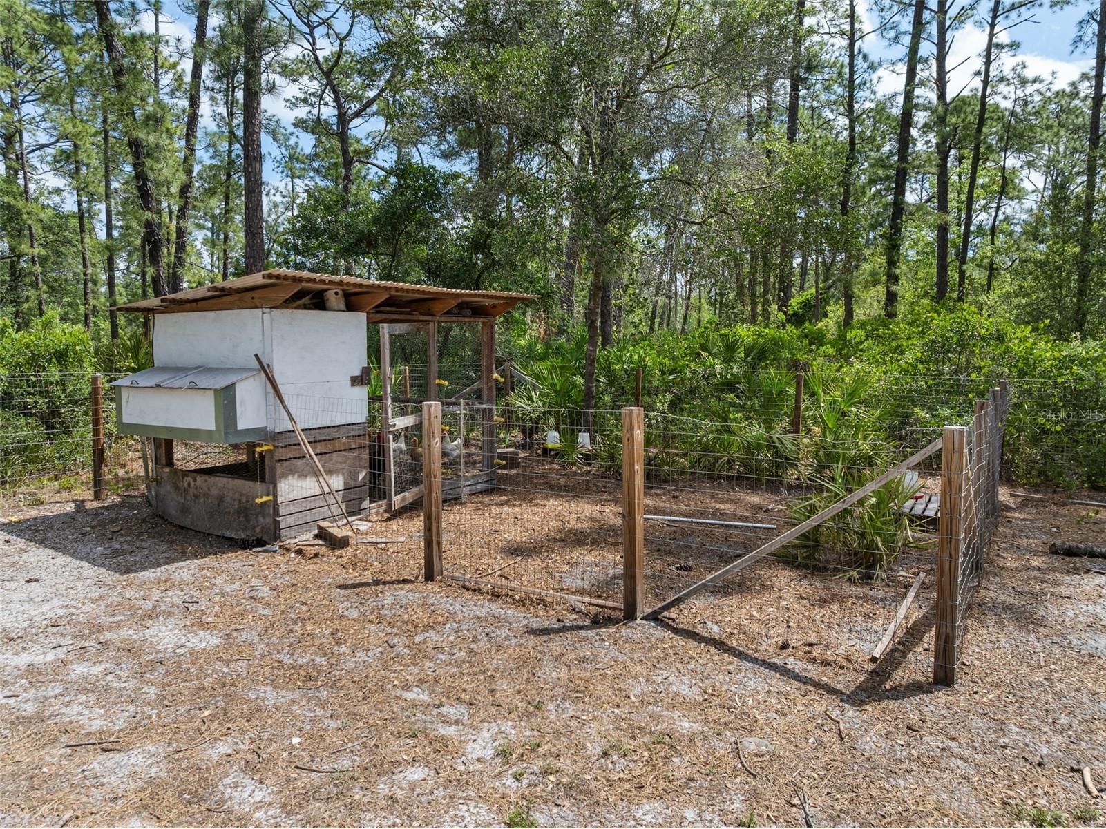42368 W Cashew Court Eustis FL 32736 O6301913 image51
