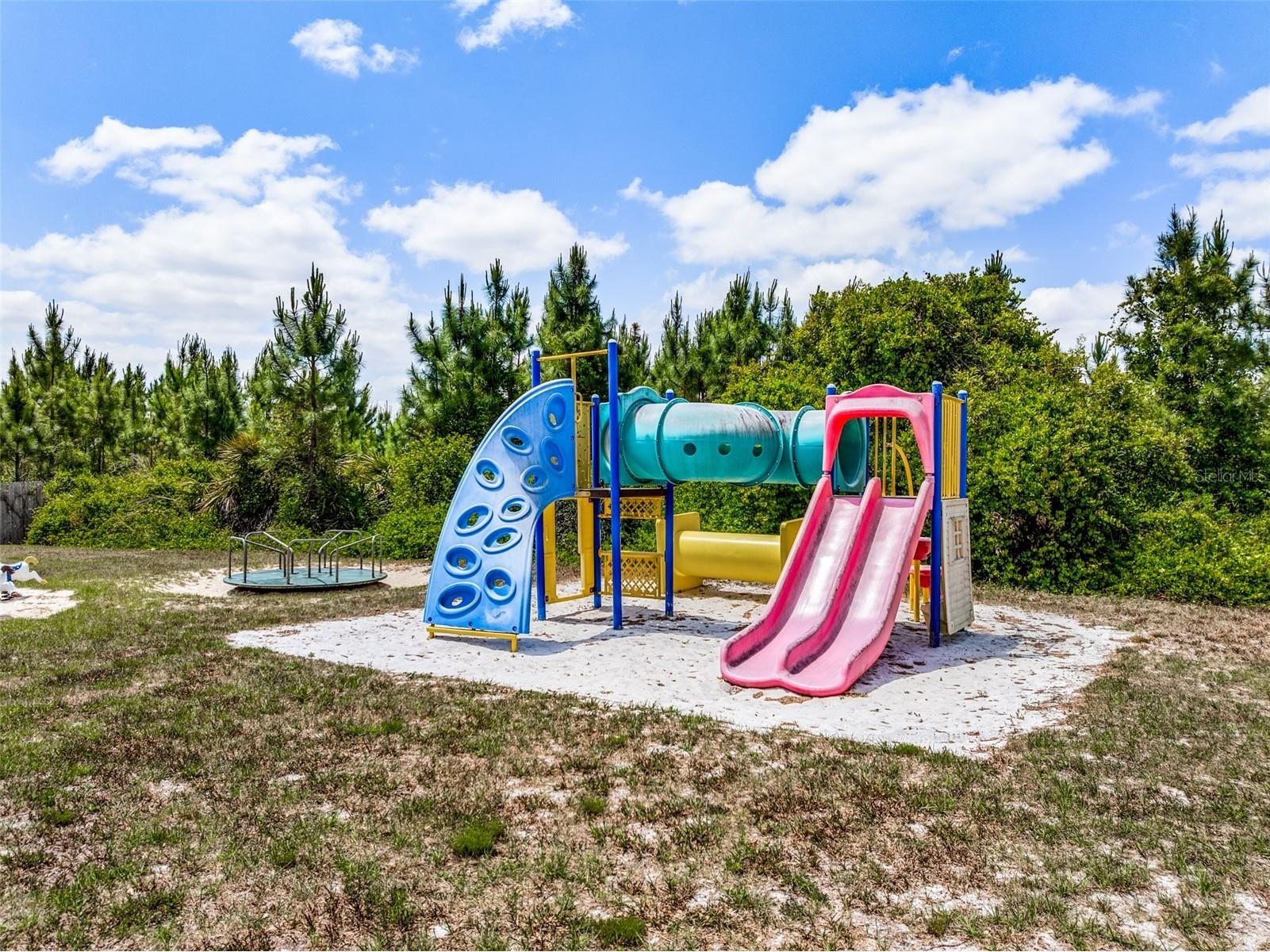 42368 W Cashew Court Eustis FL 32736 O6301913 image56
