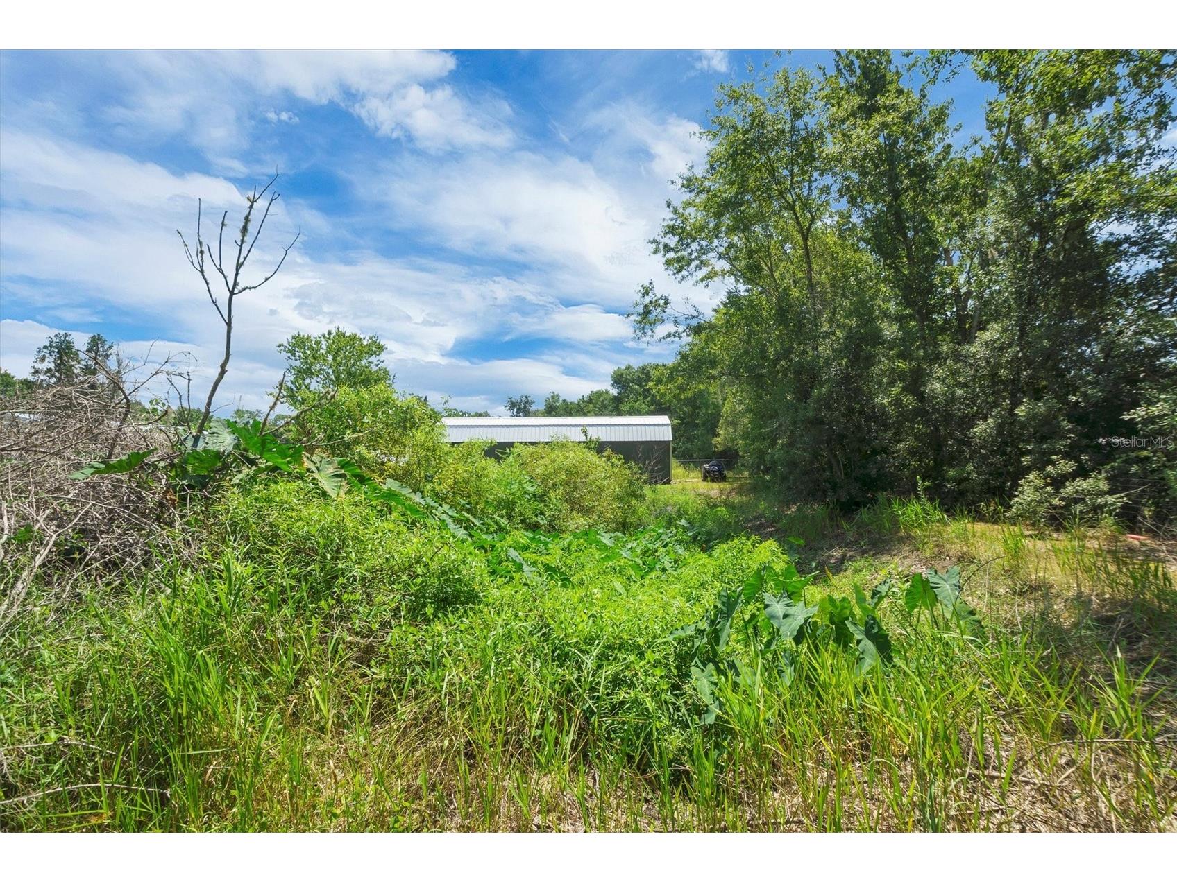 4237 Coyote Trail Polk City FL 33868 P4939275 image44