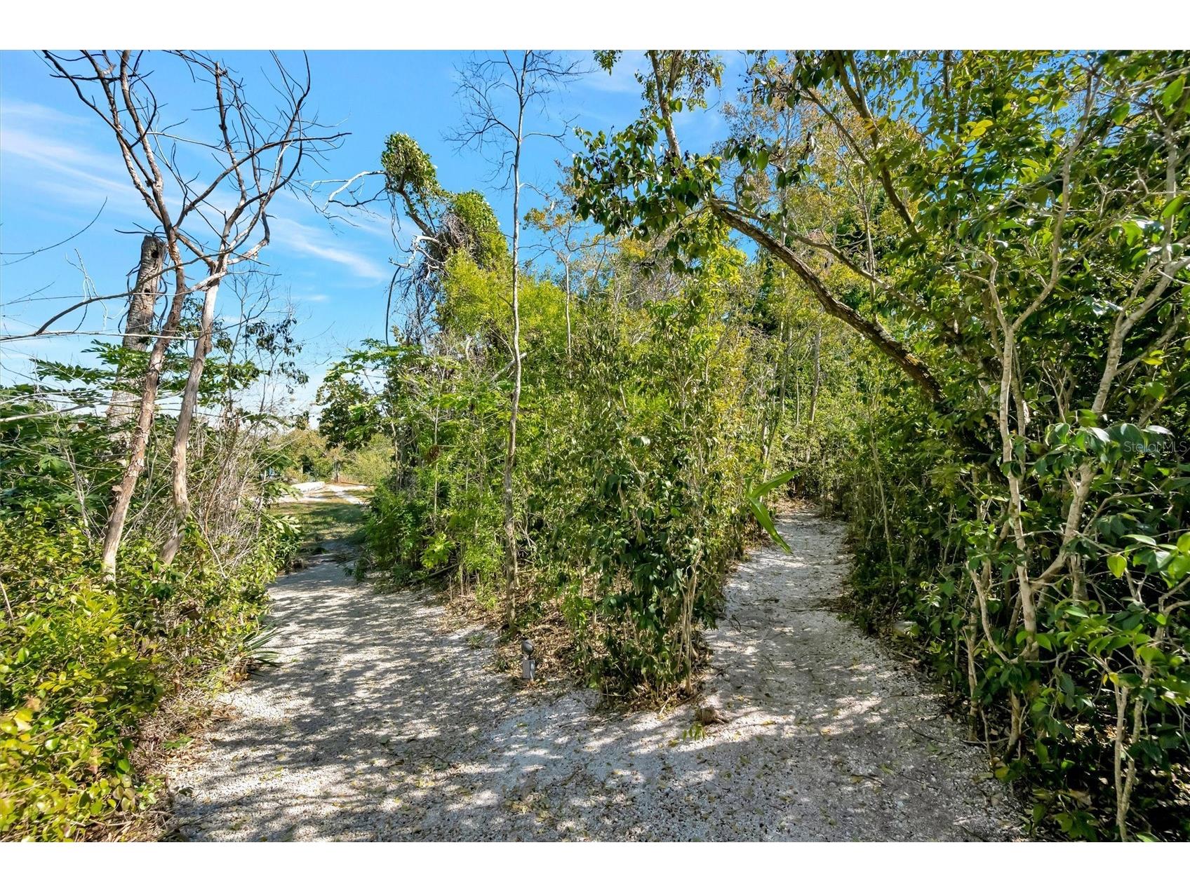 4237 Higel Avenue Sarasota FL 34242 A4686838 image42