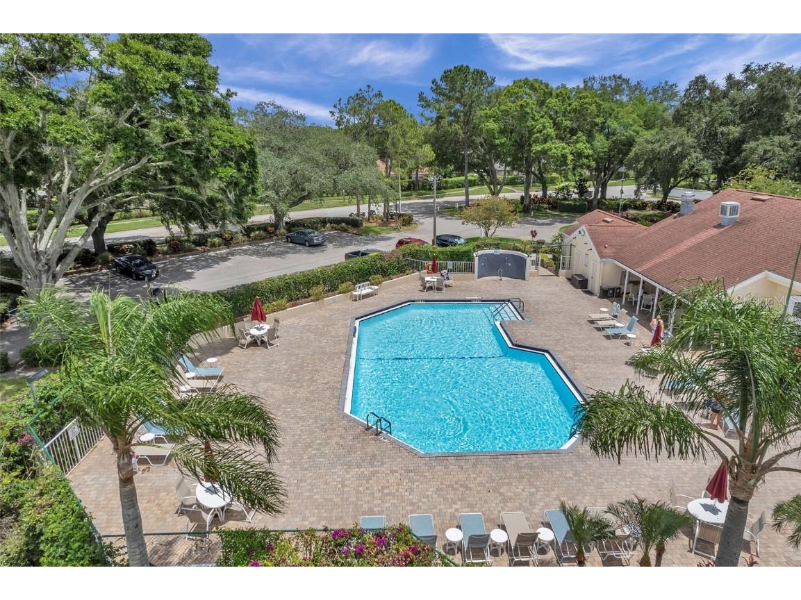 4237 Northampton Drive New Port Richey FL 34653 TB8433317 image85