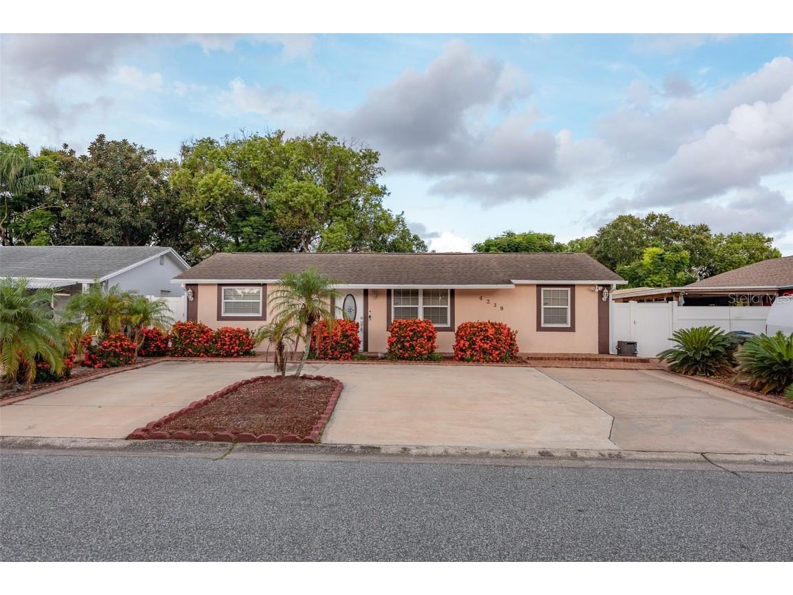 4239 Cardoon Drive New Port Richey FL 34653 TB8406443 image1