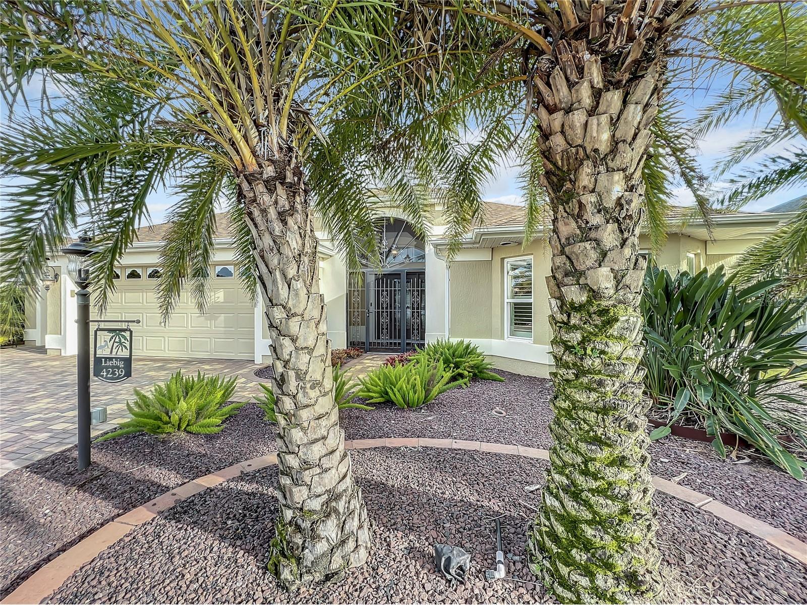 4239 Deskin Lane The Villages FL 32163 OM718369 image29