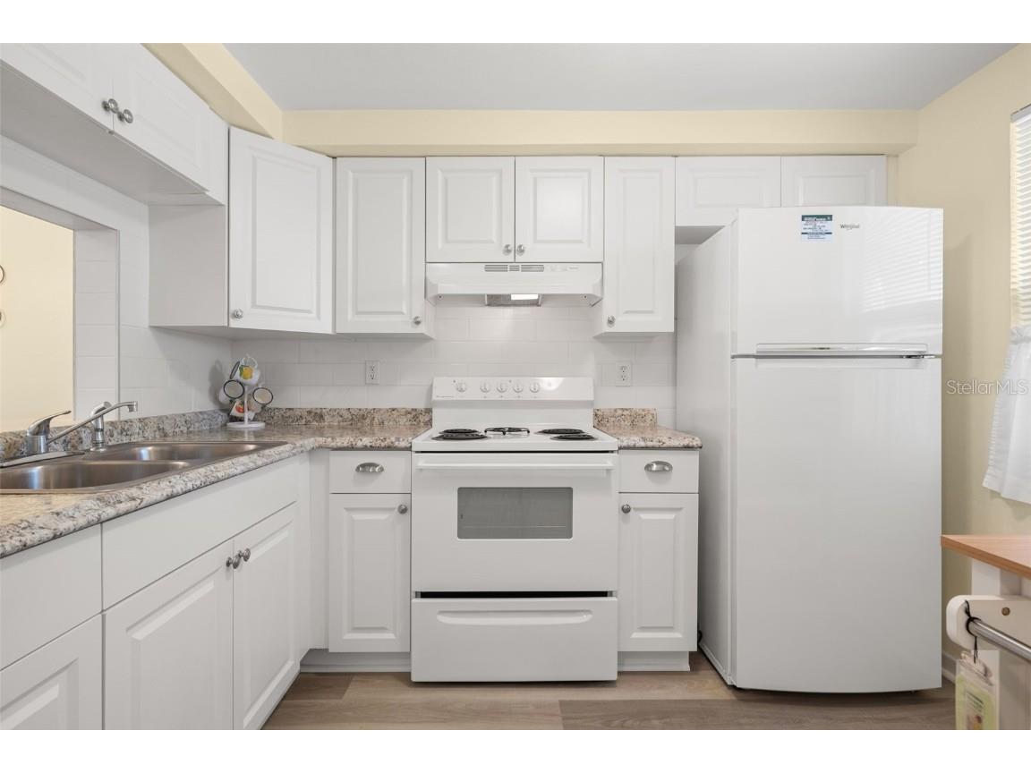 4239 Tamargo Drive New Port Richey FL 34652 U8243987 image6