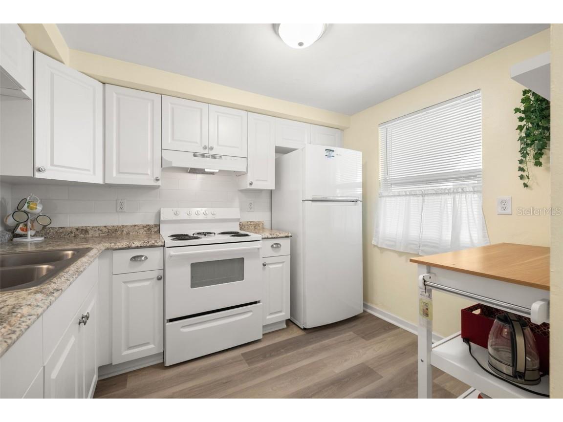 4239 Tamargo Drive New Port Richey FL 34652 U8243987 image7