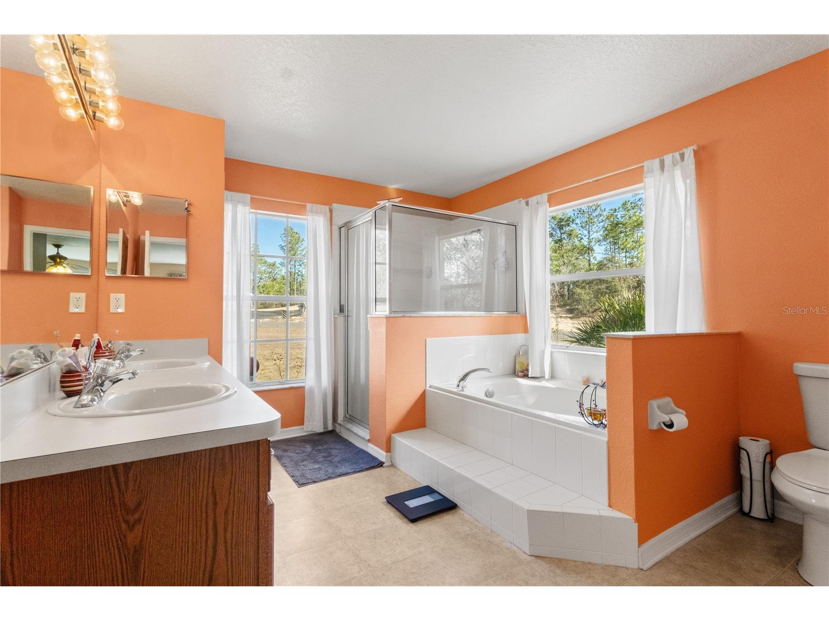 4239 W Dorchester Circle Dunnellon FL 34433 OM717260 image17