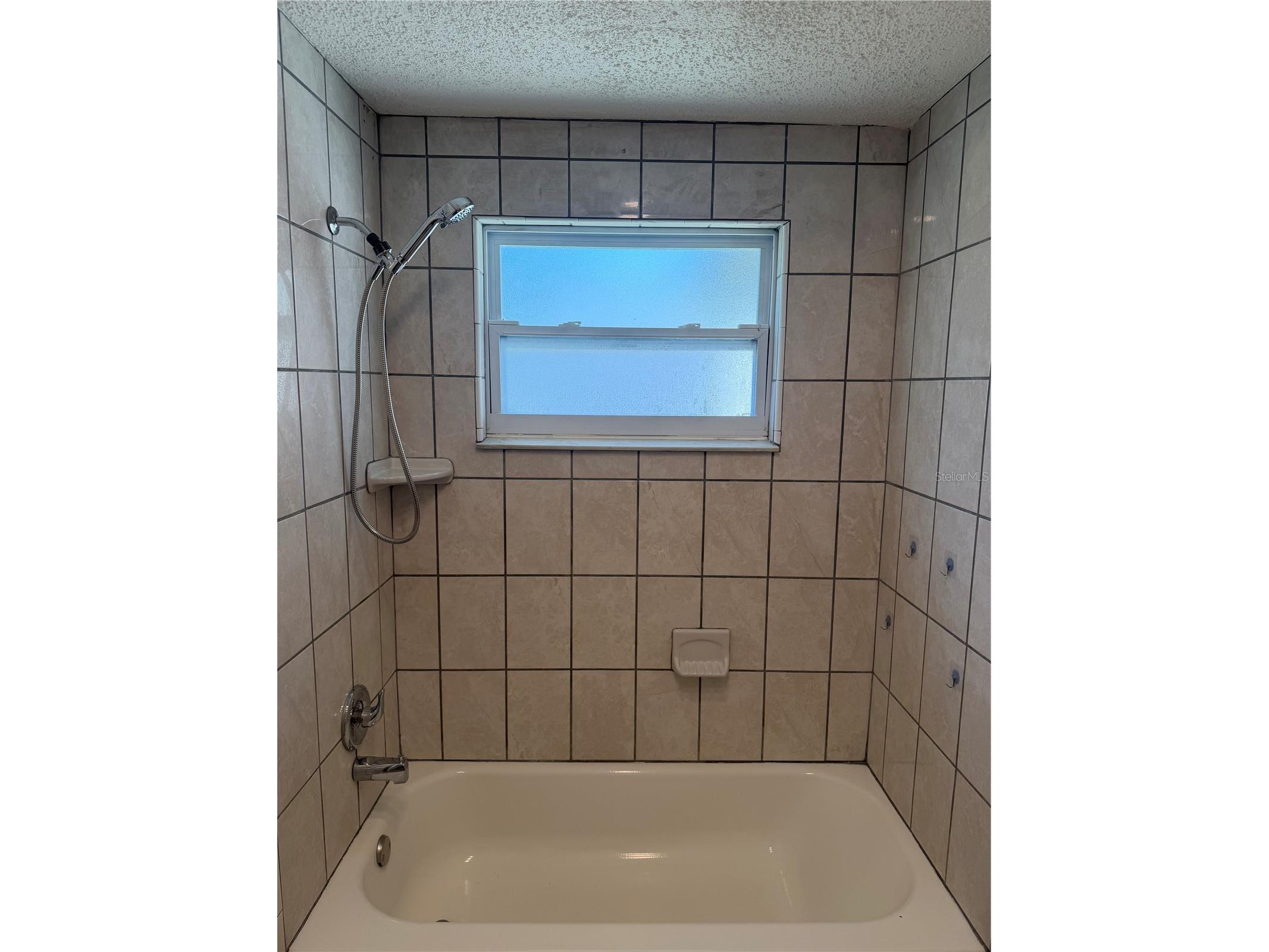 4239 Woodfield Avenue Holiday FL 34691 TB8517188 image25