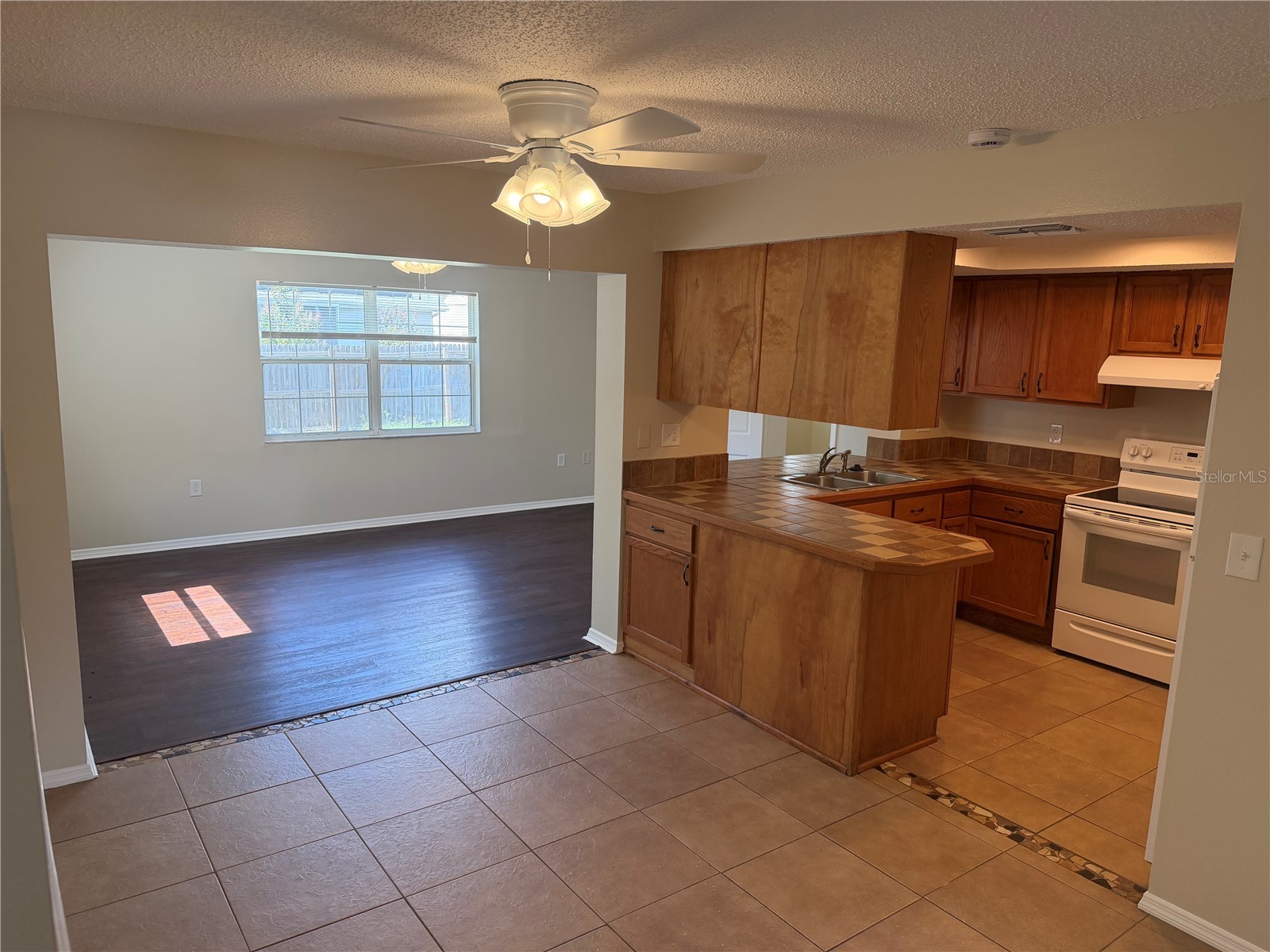 4239 Woodfield Avenue Holiday FL 34691 TB8517188 image8