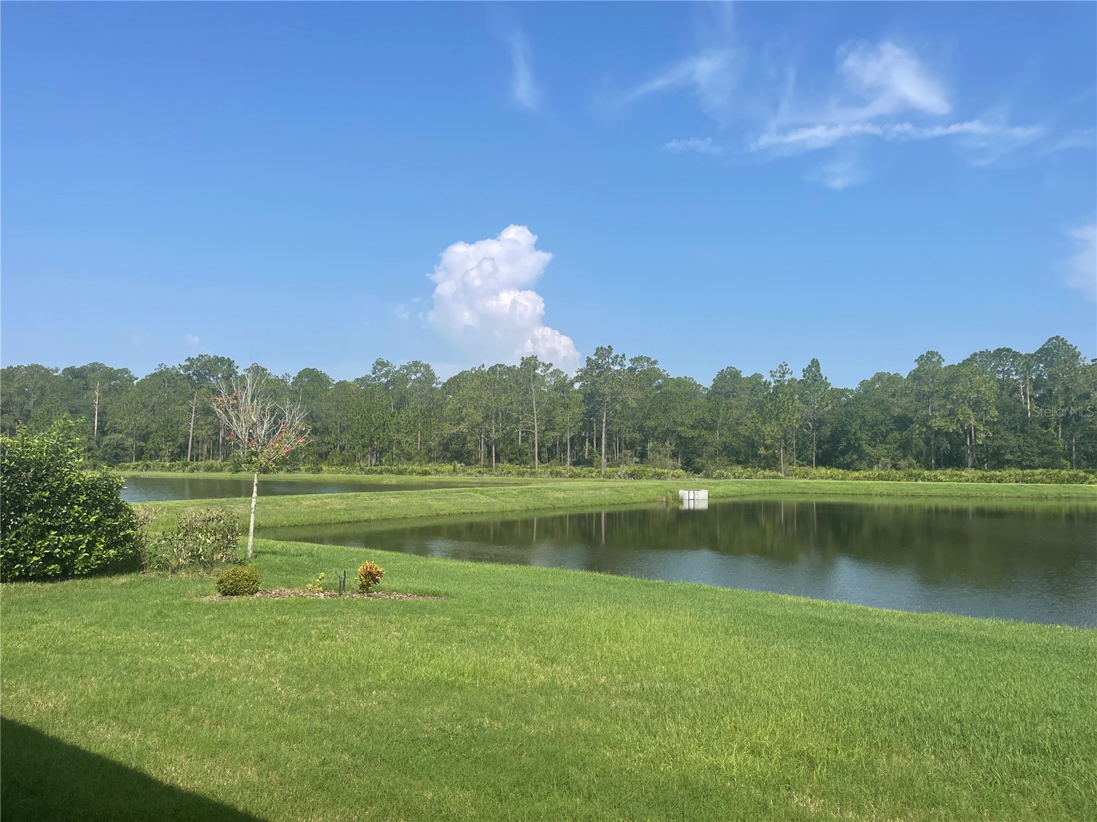 4239 Woodland Retreat Boulevard New Port Richey FL 34655 TB8470560 image22