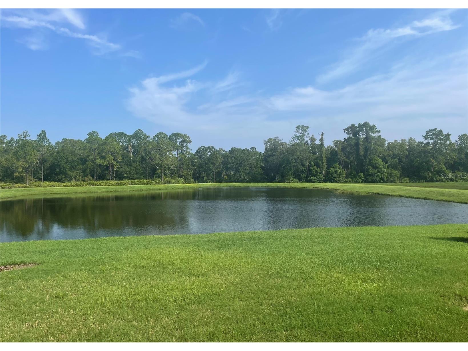 4239 Woodland Retreat Boulevard New Port Richey FL 34655 TB8470560 image23
