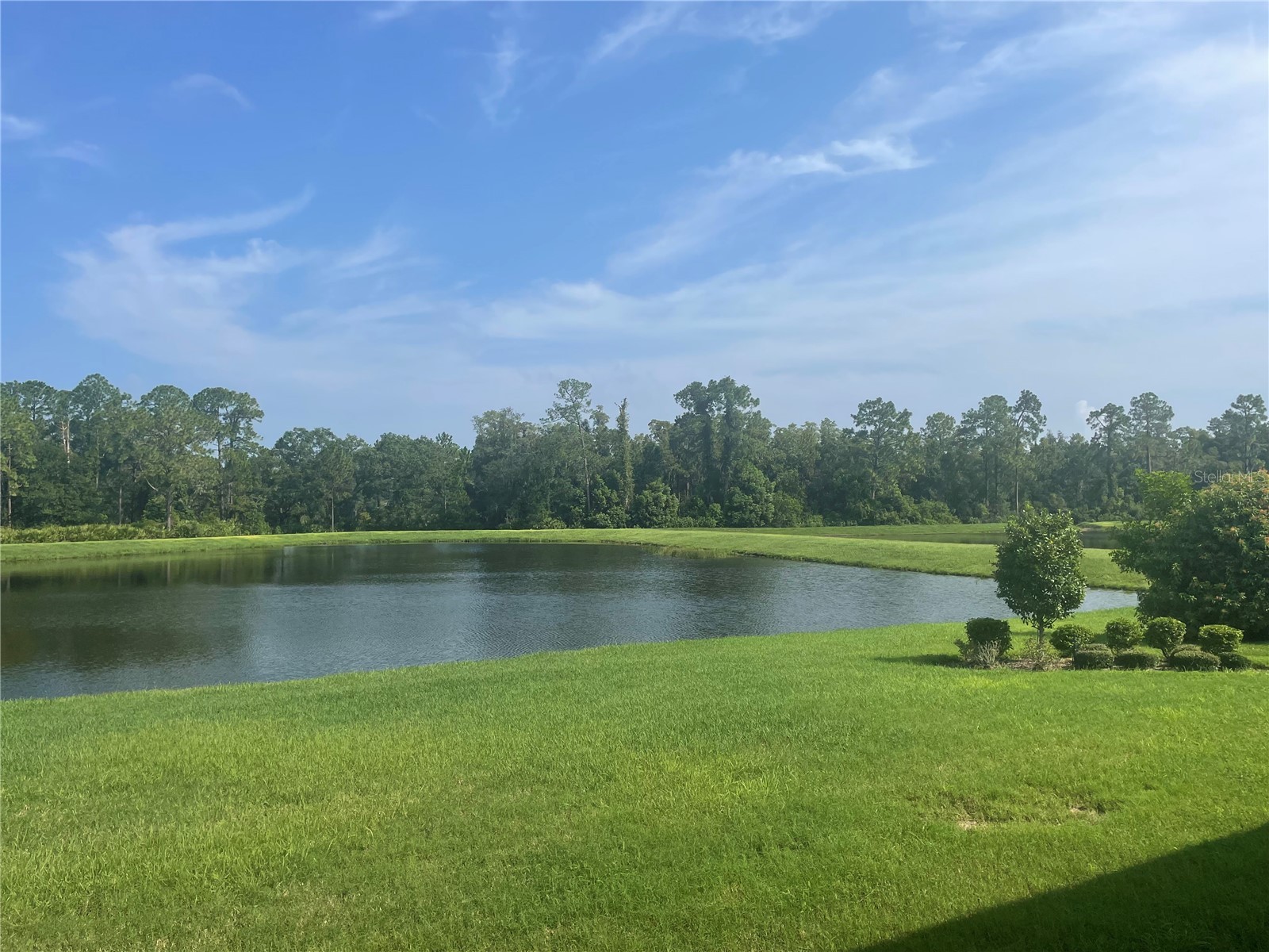 4239 Woodland Retreat Boulevard New Port Richey FL 34655 TB8470560 image24