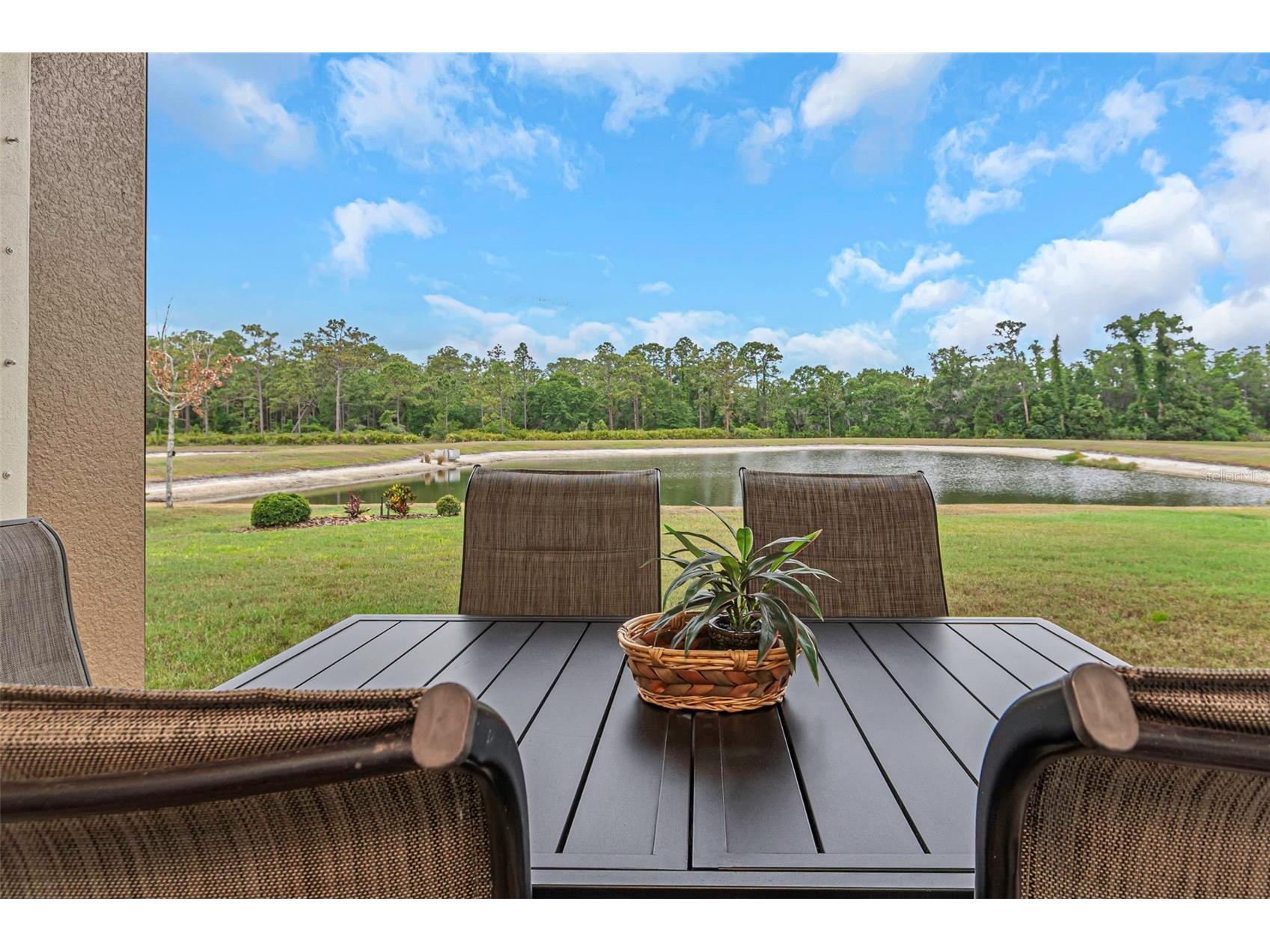 4239 Woodland Retreat Boulevard New Port Richey FL 34655 TB8470560 image45
