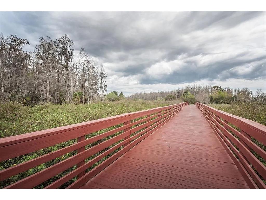 4239 Woodland Retreat Boulevard New Port Richey FL 34655 TB8470560 image58
