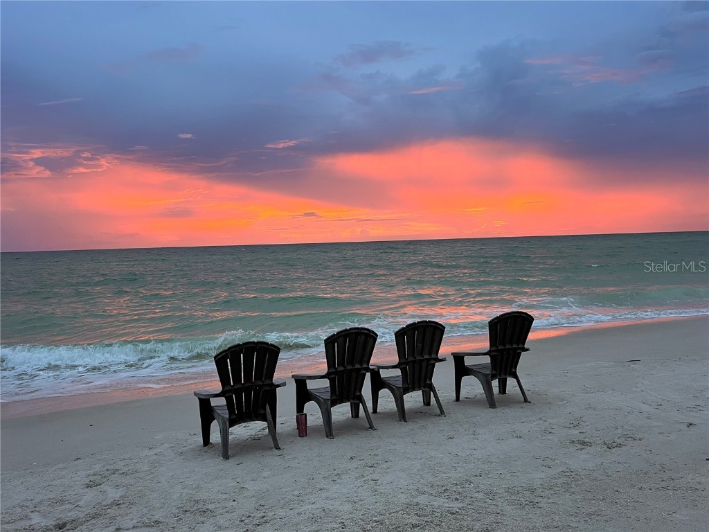 424 Albee Road W #1 Nokomis FL 34275 N6128514 image39