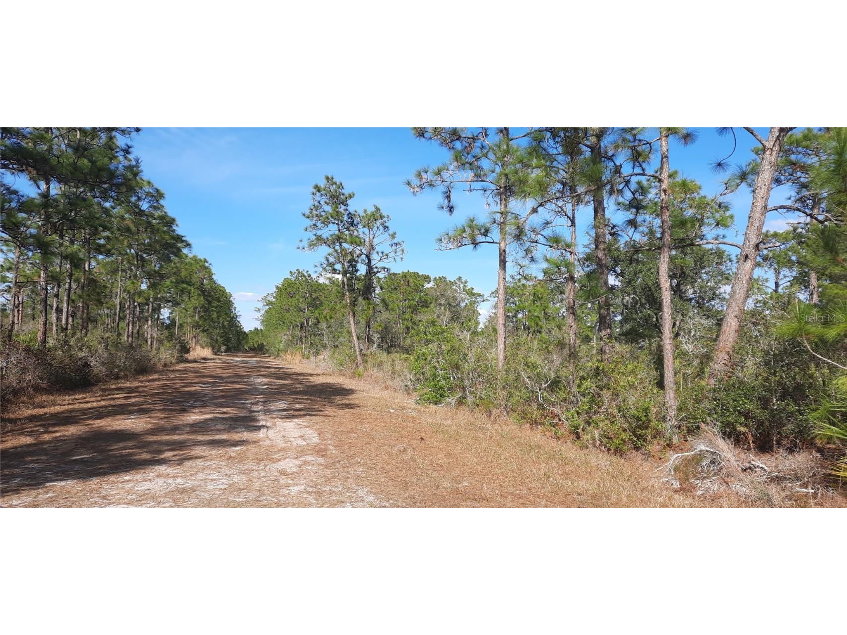 424 Bougainville Drive Indian Lake Estates FL 33855 - LAKE WALK-IN-WATER TB8341009 image1