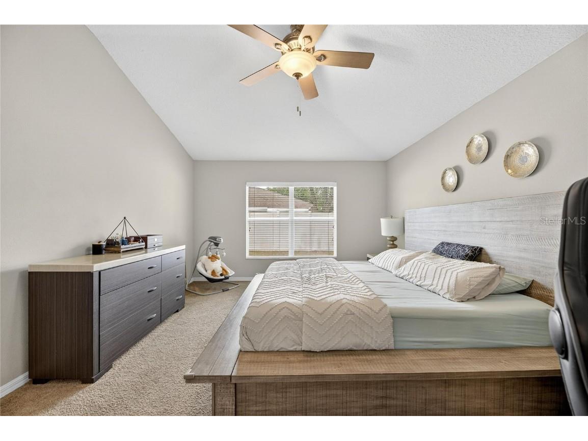 424 Down Pine Drive Seffner FL 33584 TB8443165 image20