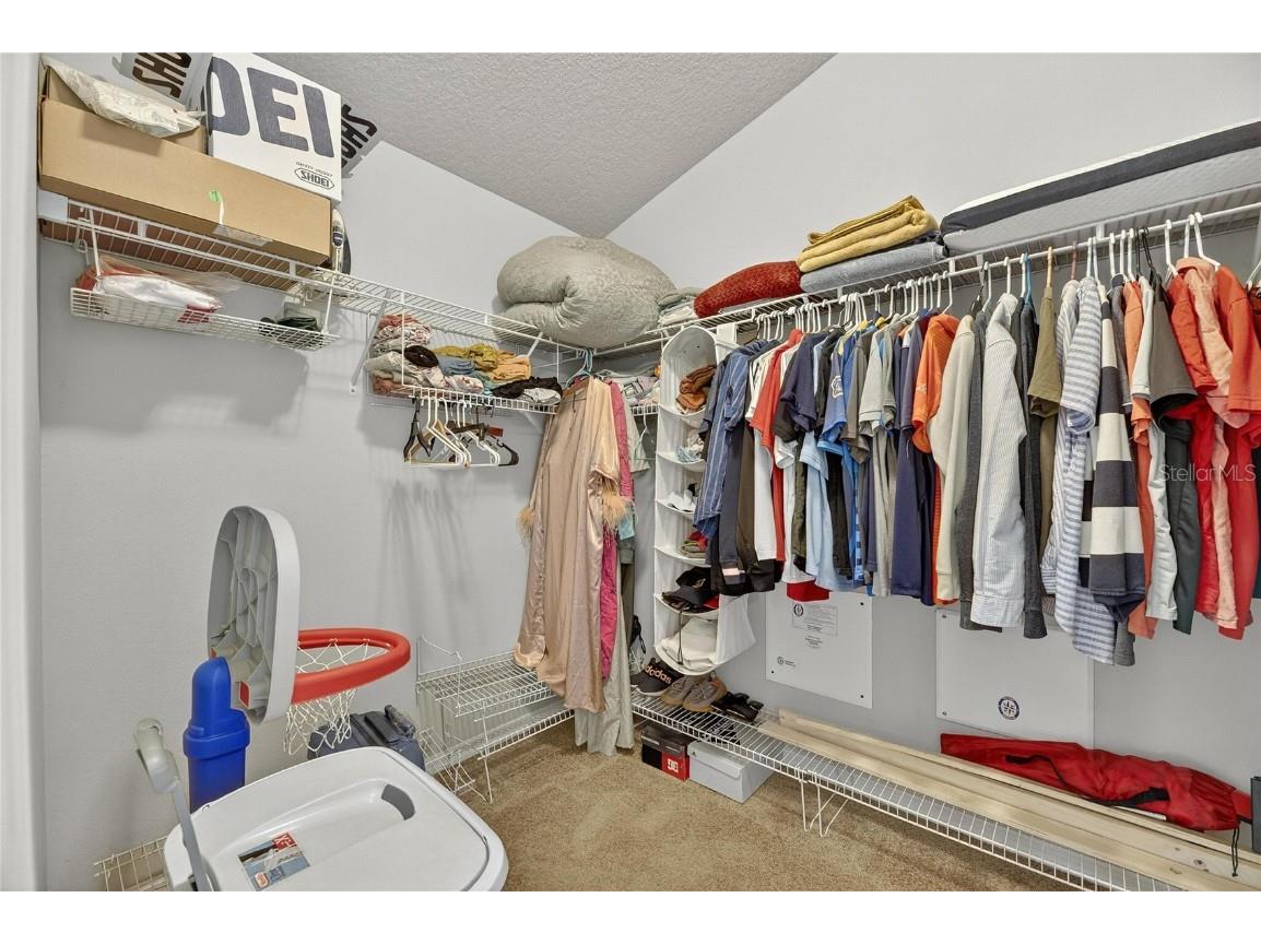 424 Down Pine Drive Seffner FL 33584 TB8443165 image23