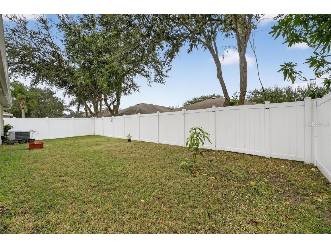 424 Down Pine Drive Seffner FL 33584 TB8443165 image30