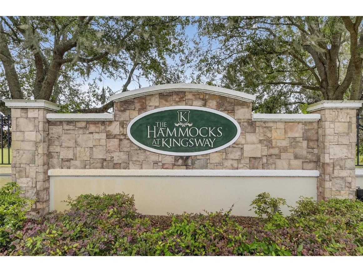 424 Down Pine Drive Seffner FL 33584 TB8443165 image36