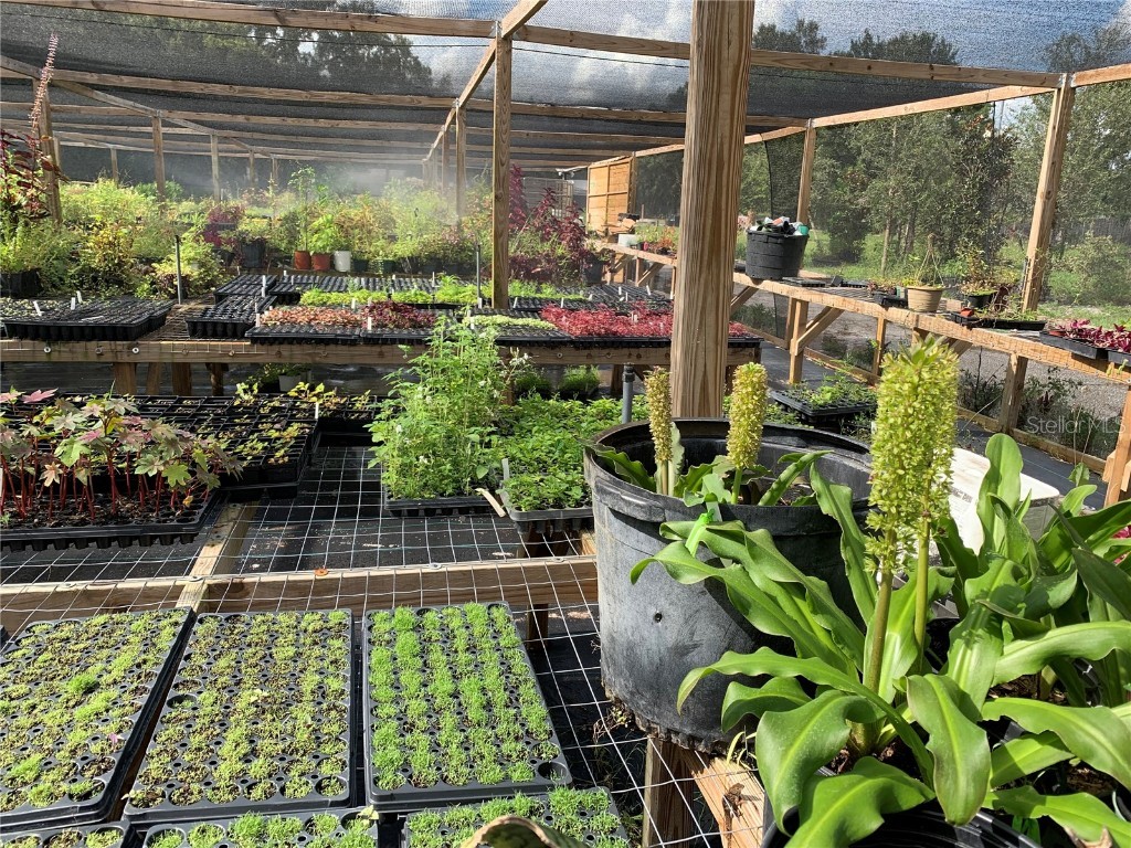 424 E Welch Road Apopka FL 32712 O6216745 image5