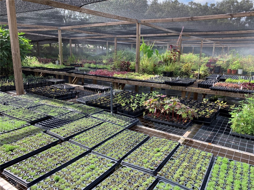 424 E Welch Road Apopka FL 32712 O6216745 image6