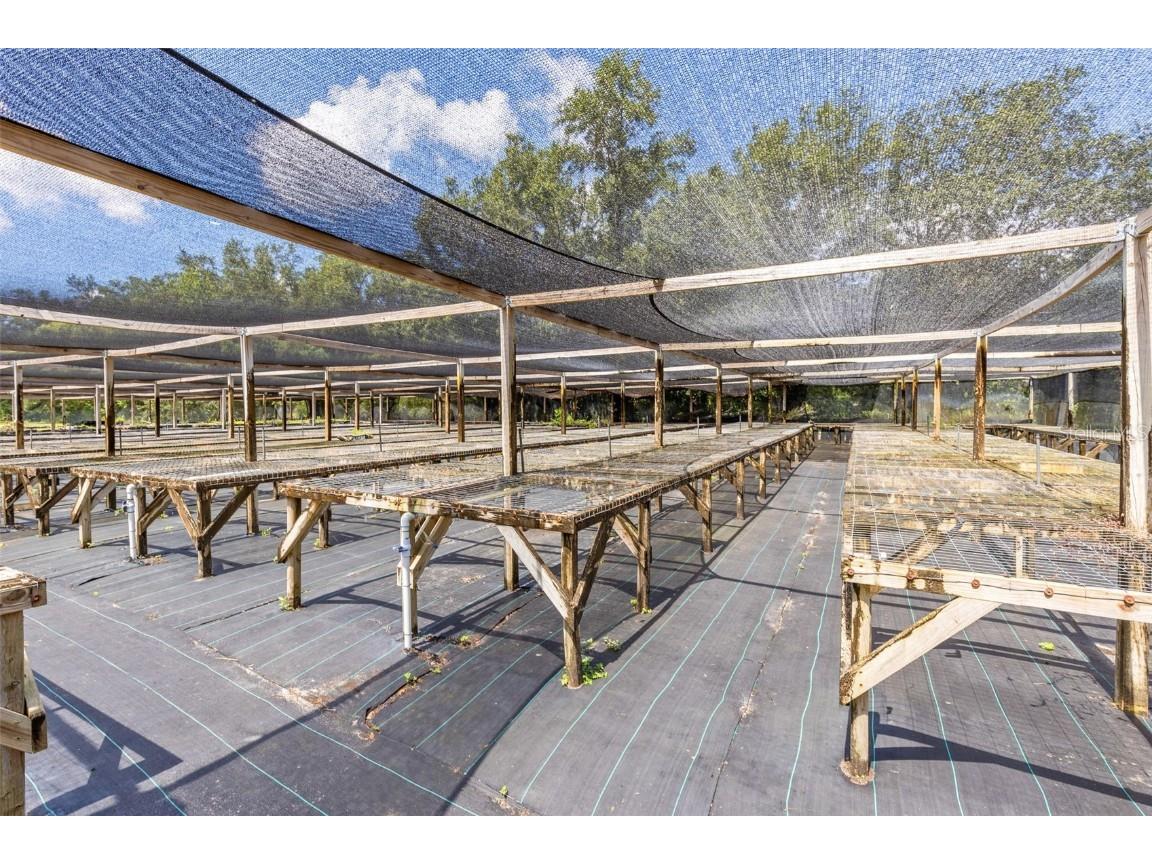 424 E Welch Road Apopka FL 32712 O6219319 image9