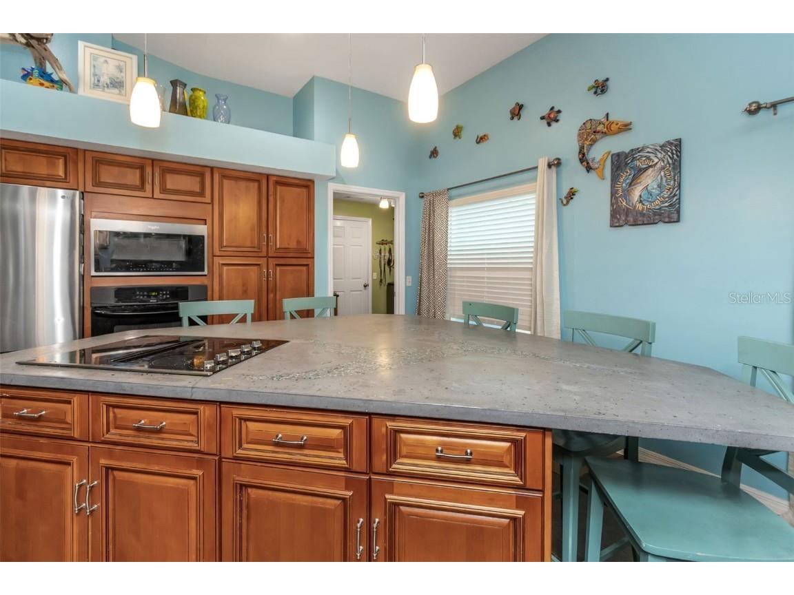 424 Island Cay Way Apollo Beach FL 33572 TB8370062 image14