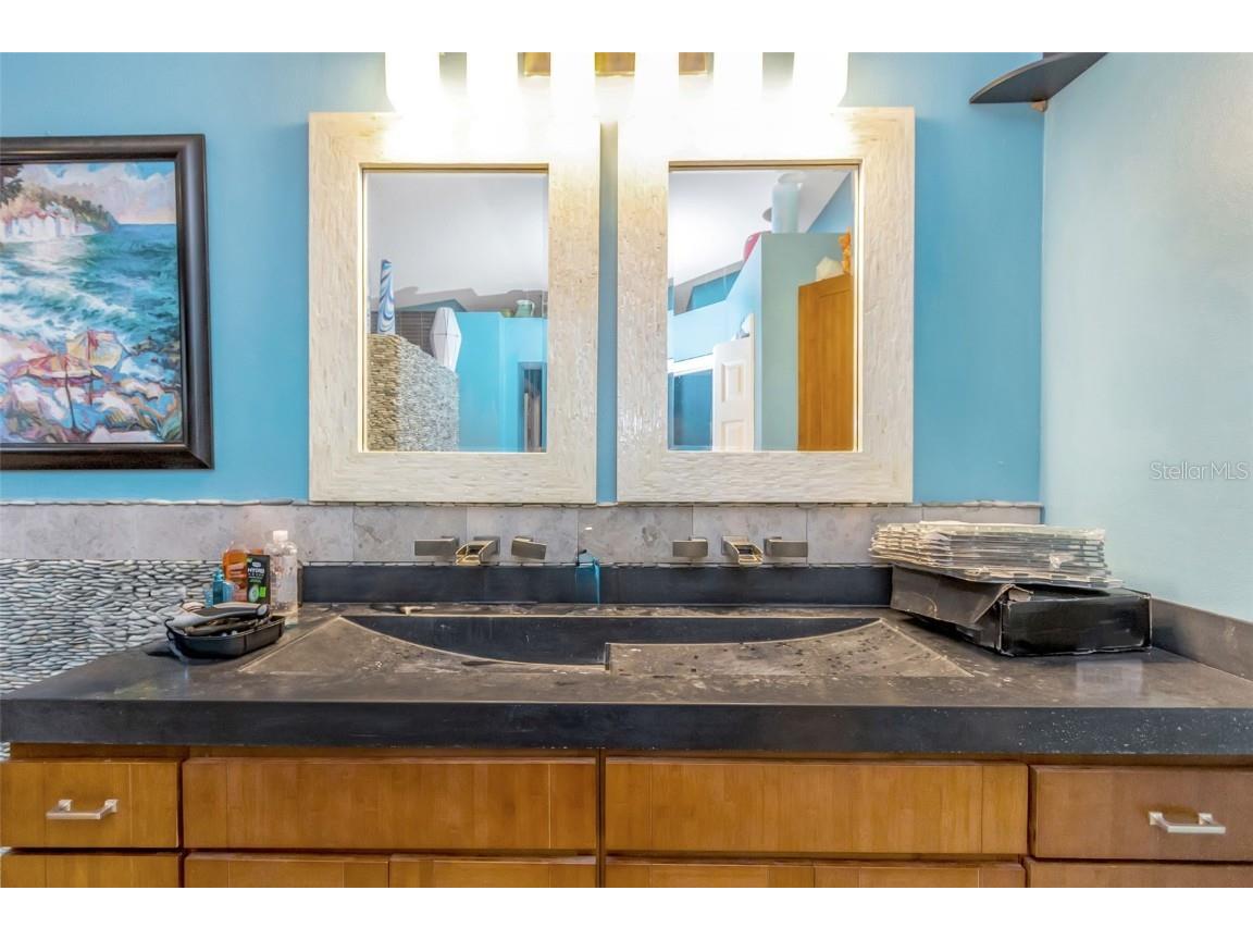 424 Island Cay Way Apollo Beach FL 33572 TB8370062 image58