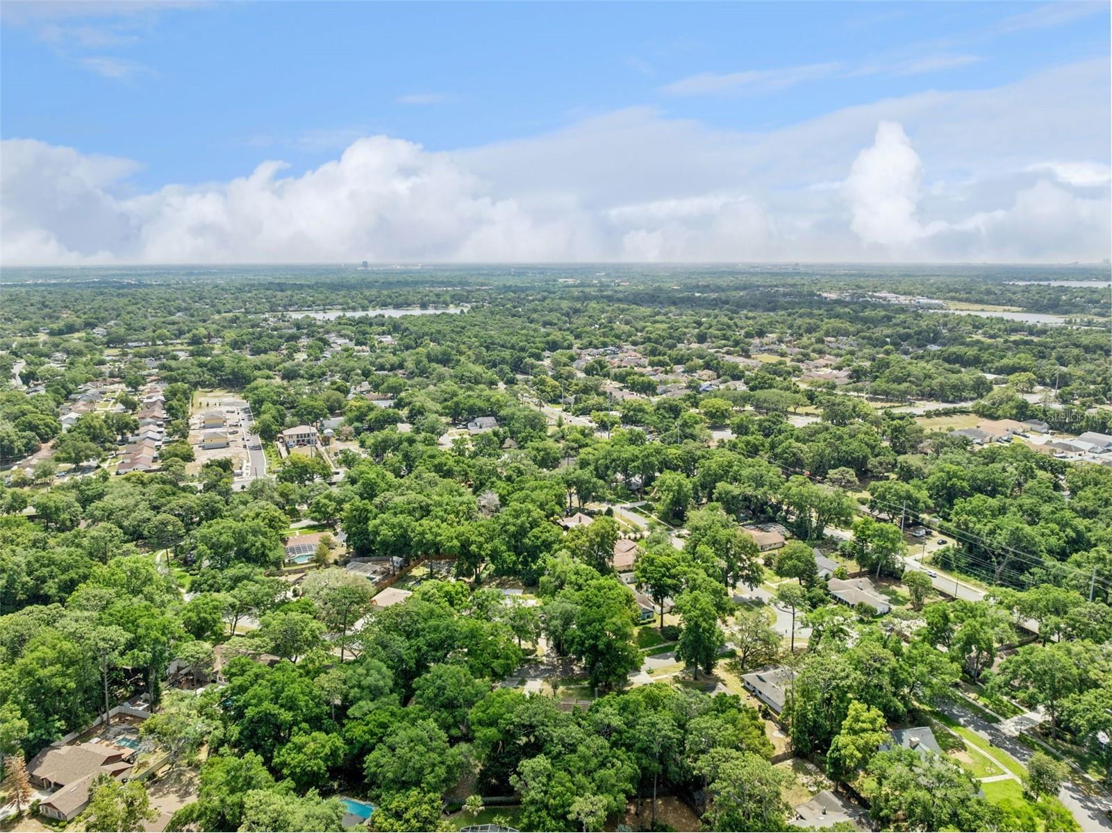 424 Knoll Tree Lane Apopka FL 32712 G5111645 image39