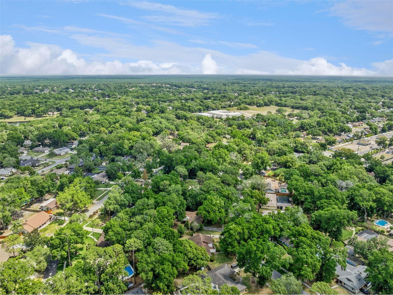 424 Knoll Tree Lane Apopka FL 32712 G5111645 image40