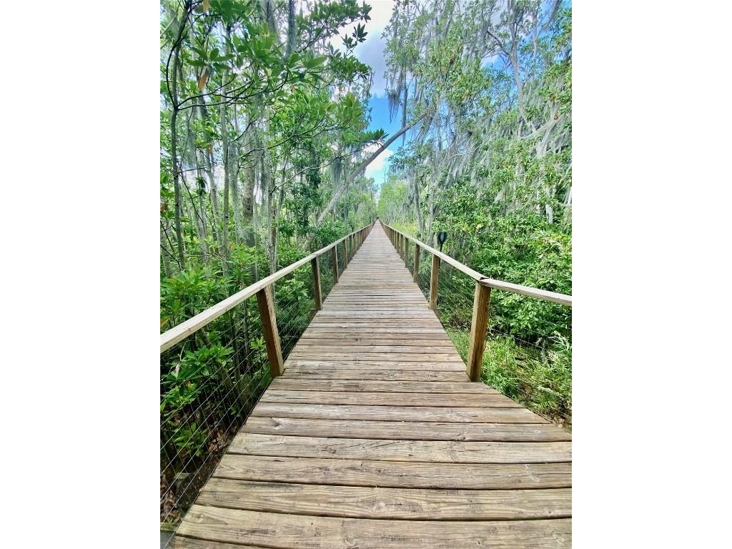 424 Lake Mirror Drive Lake Placid FL 33852 O6348952 image27