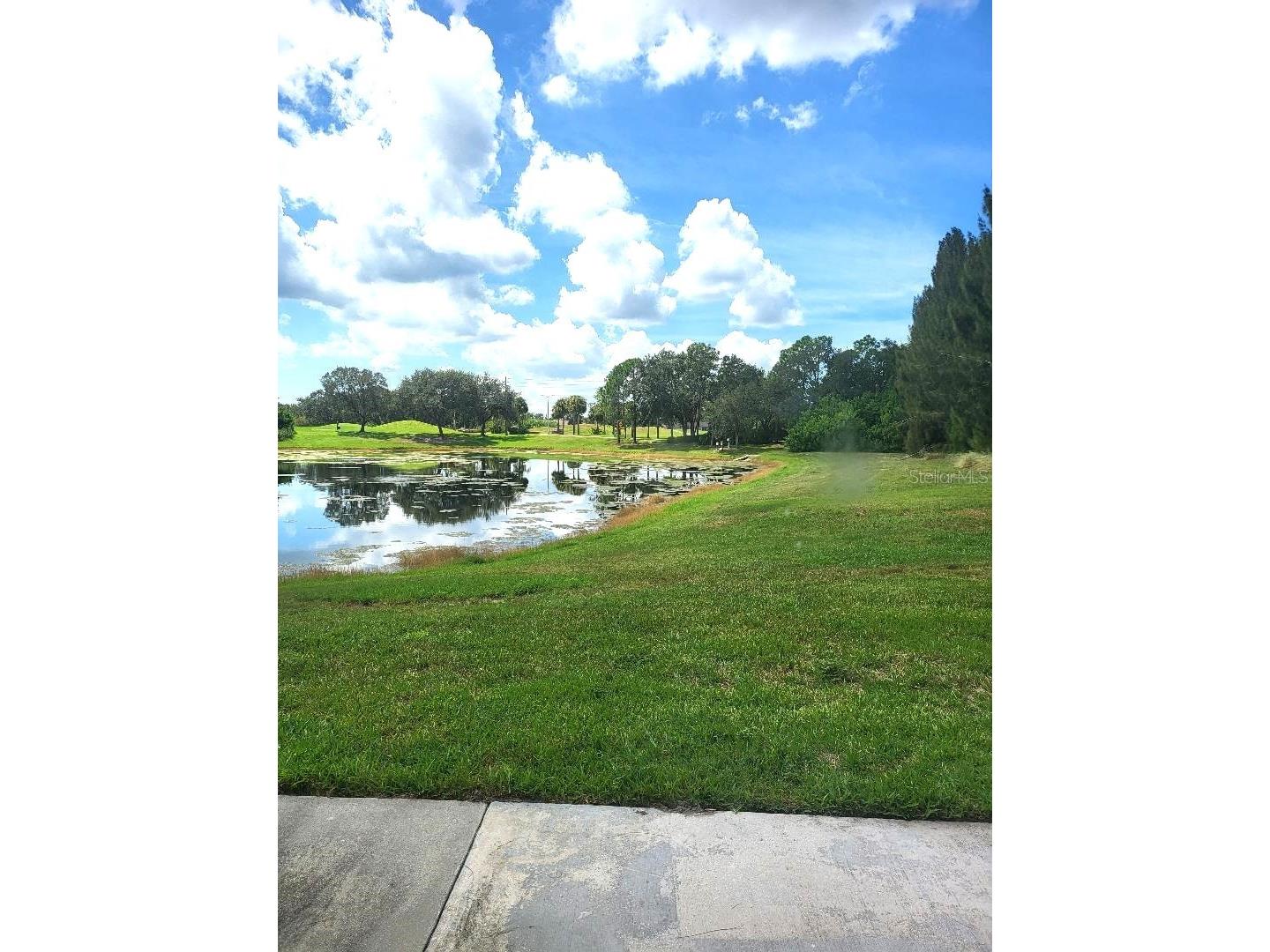 424 Lake Point Court #5A Sun City Center FL 33573 TB8520792 image2