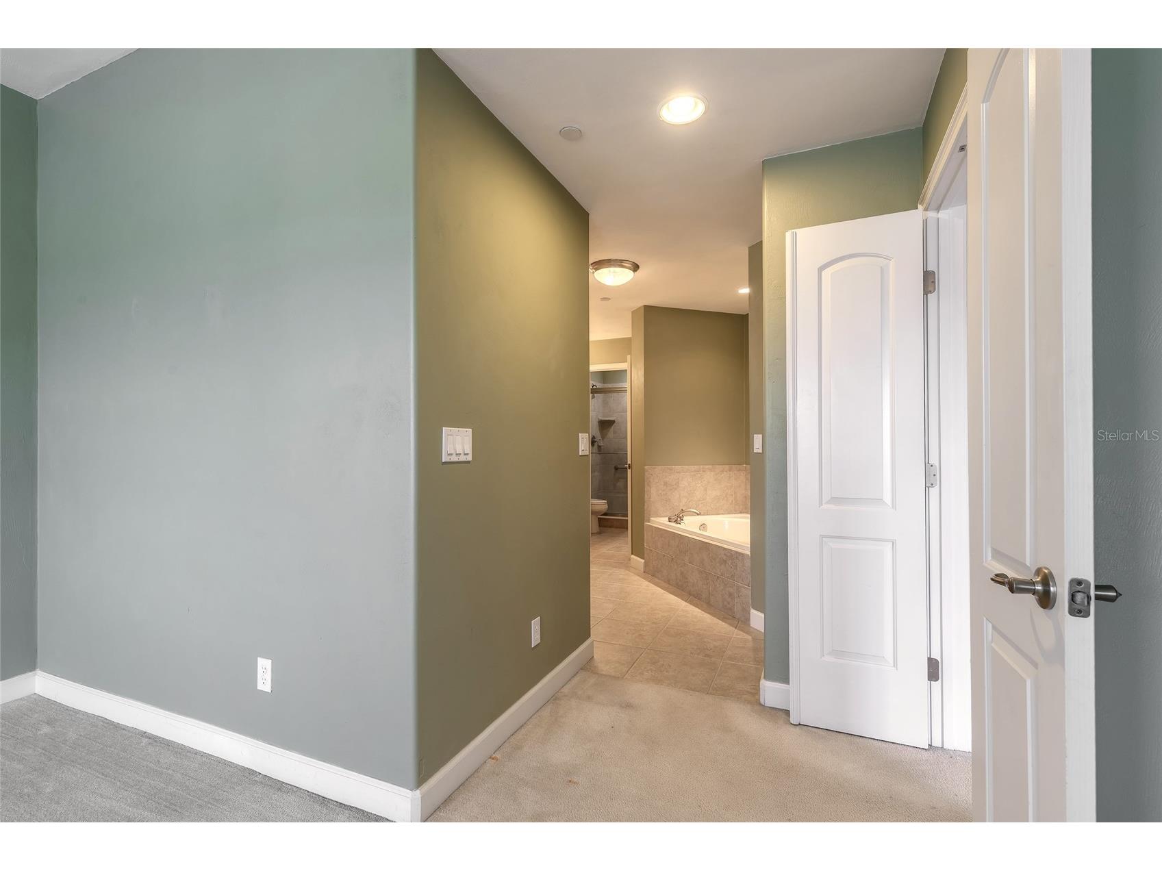 424 Luna Bella Lane #415 New Smyrna Beach FL 32168 NS1088267 image22