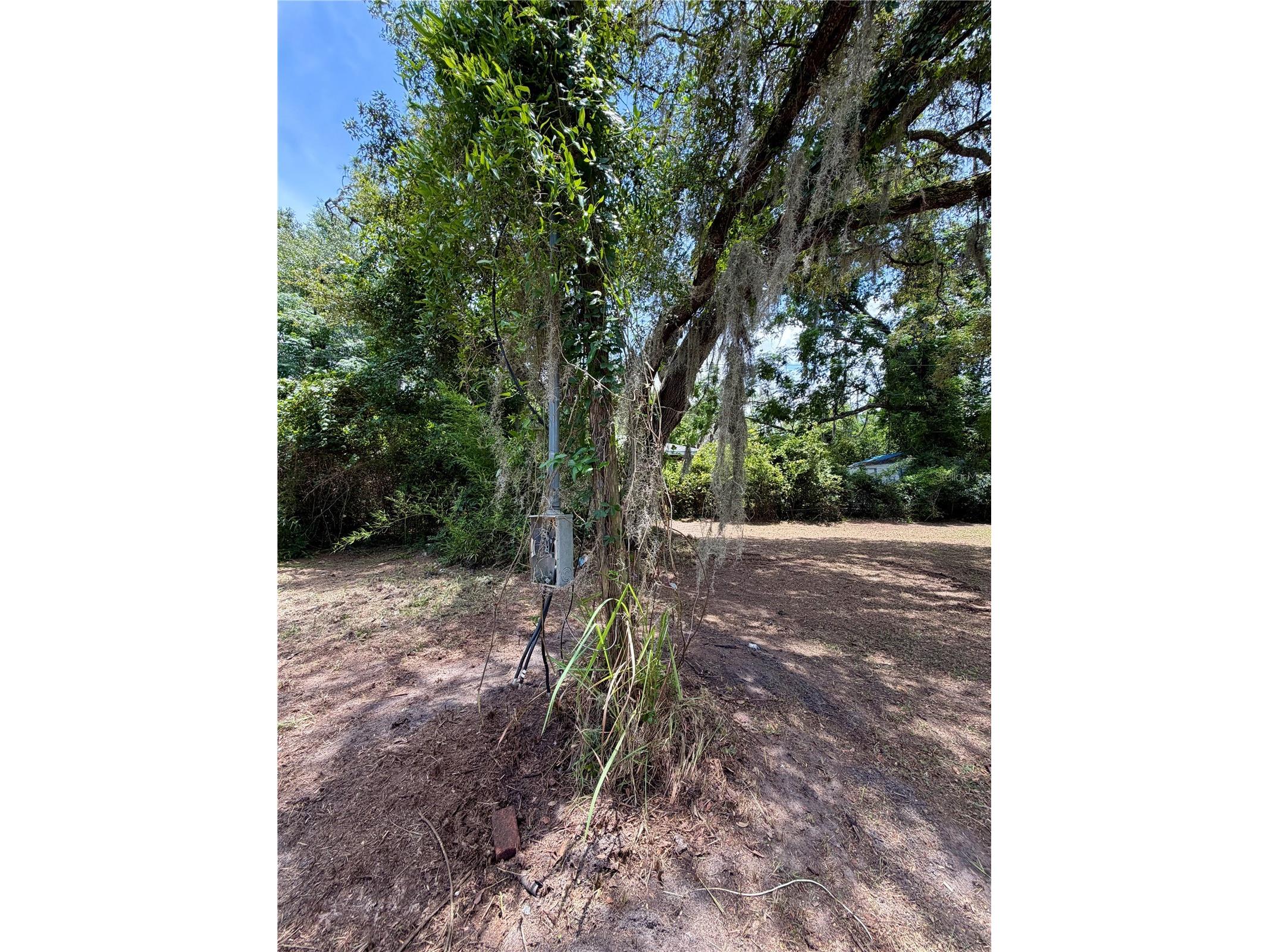 424 Margaret Street Bronson FL 32621 GC541469 image4