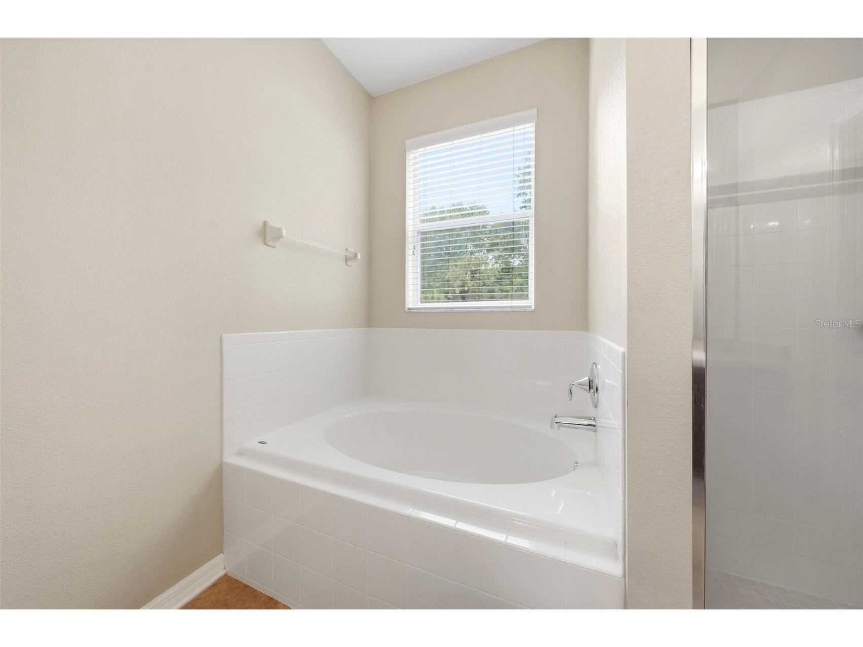 424 Misty Oaks Lane Eustis FL 32736 G5113020 image26