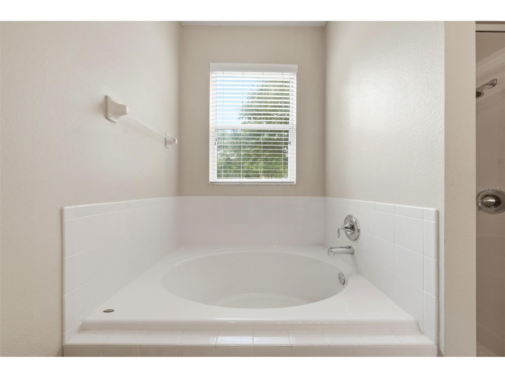 424 Misty Oaks Lane Eustis FL 32736 G5113020 image28