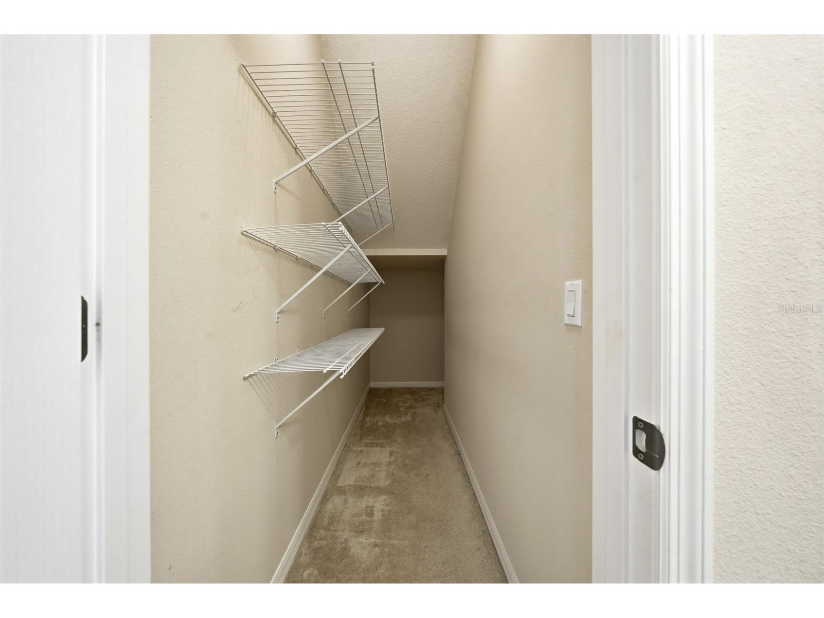 424 Misty Oaks Lane Eustis FL 32736 G5113020 image31