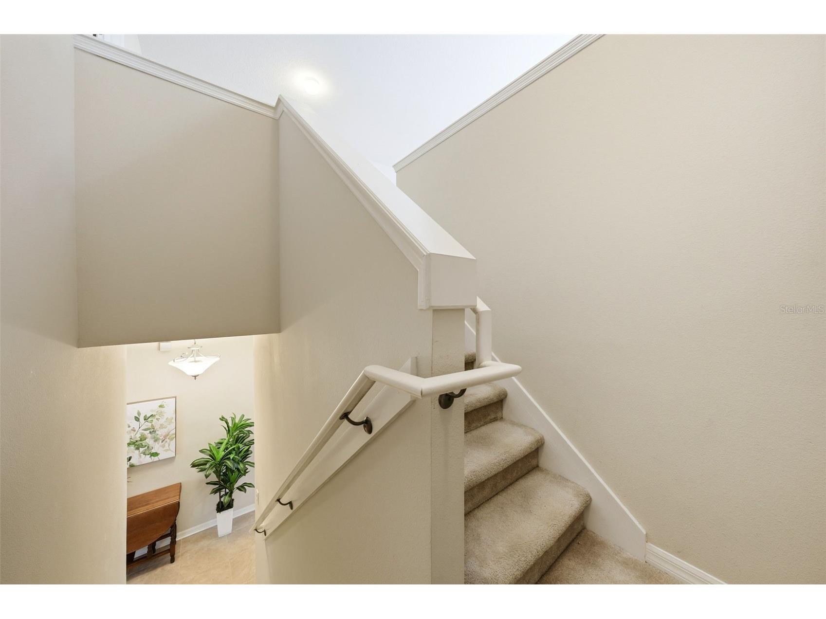 424 Misty Oaks Lane Eustis FL 32736 G5113020 image32