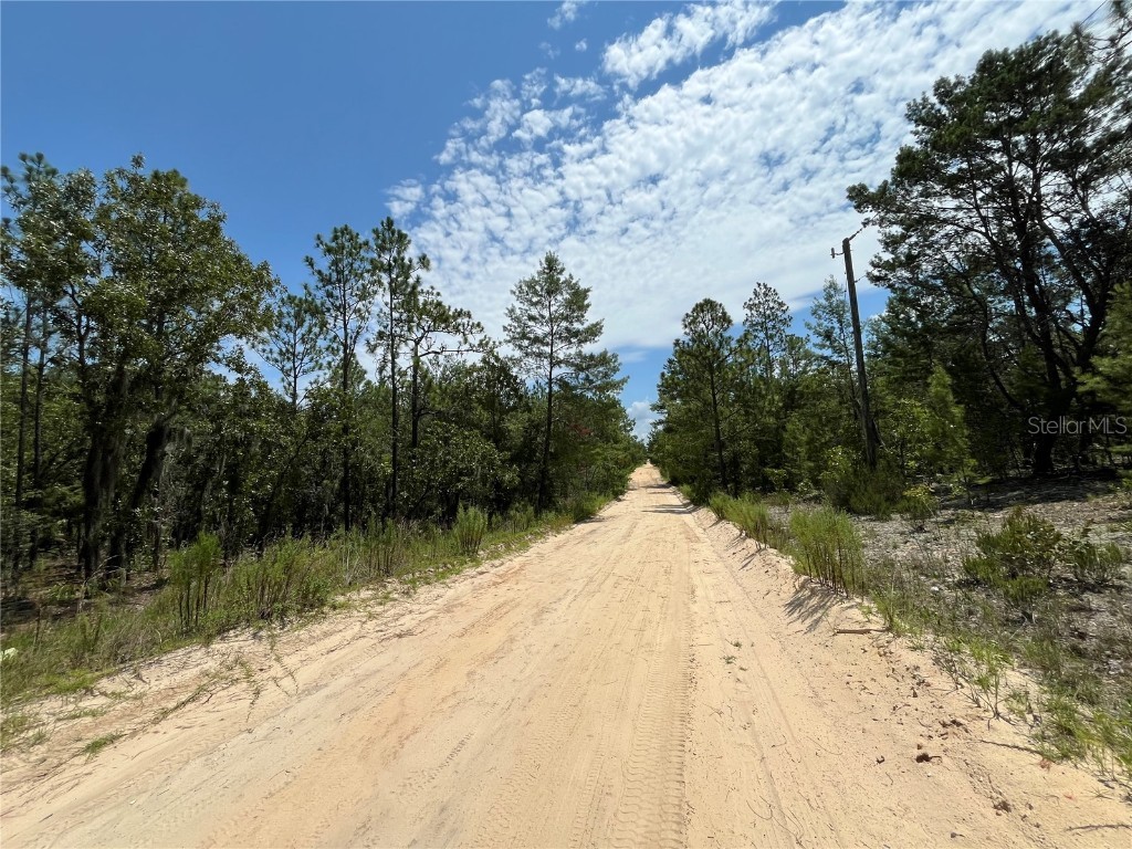 424 Nova Scotia Street Interlachen FL 32148 OK224290 image1