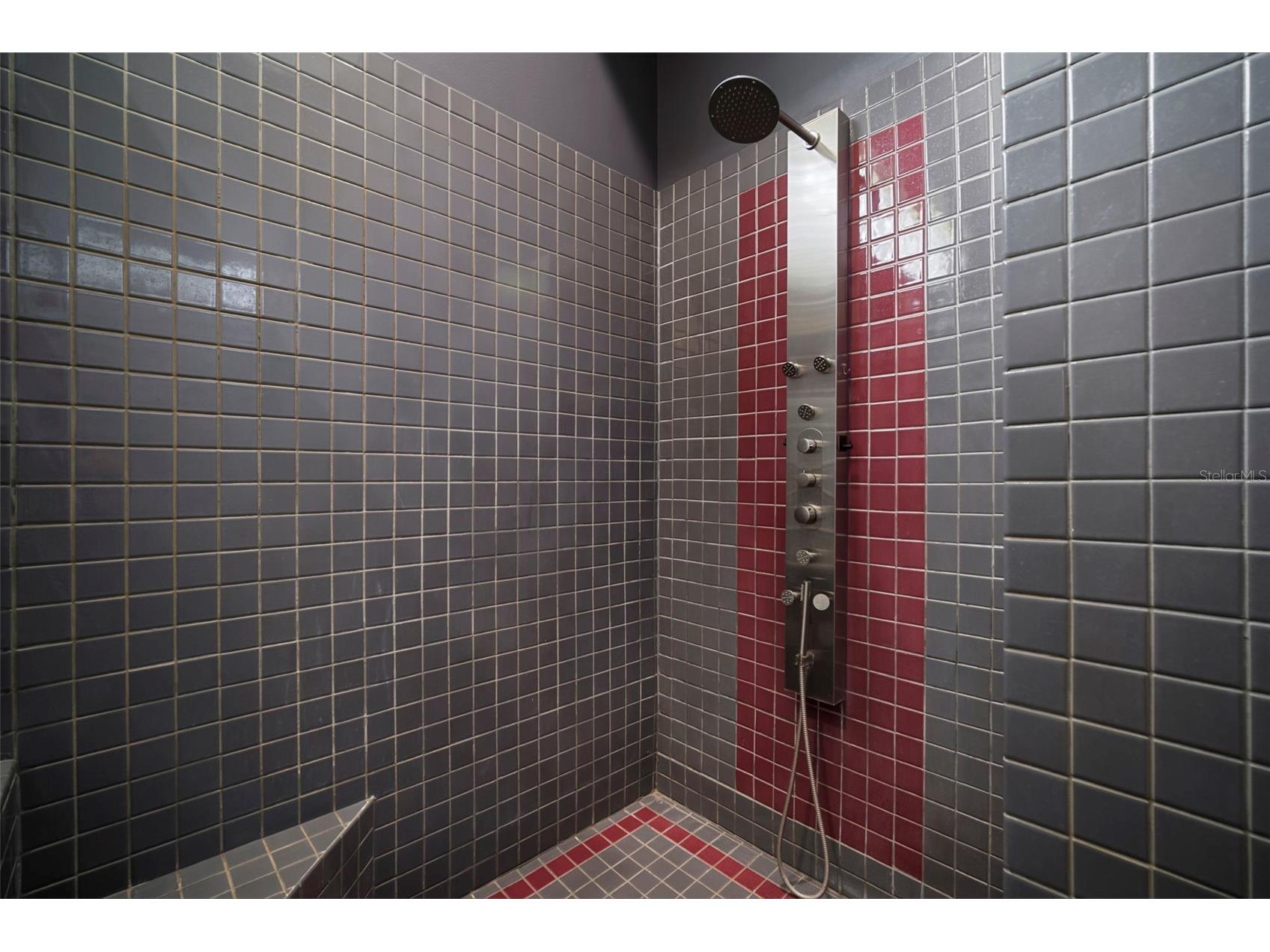 424 Summit Chase Drive Valrico FL 33594 TB8448937 image44