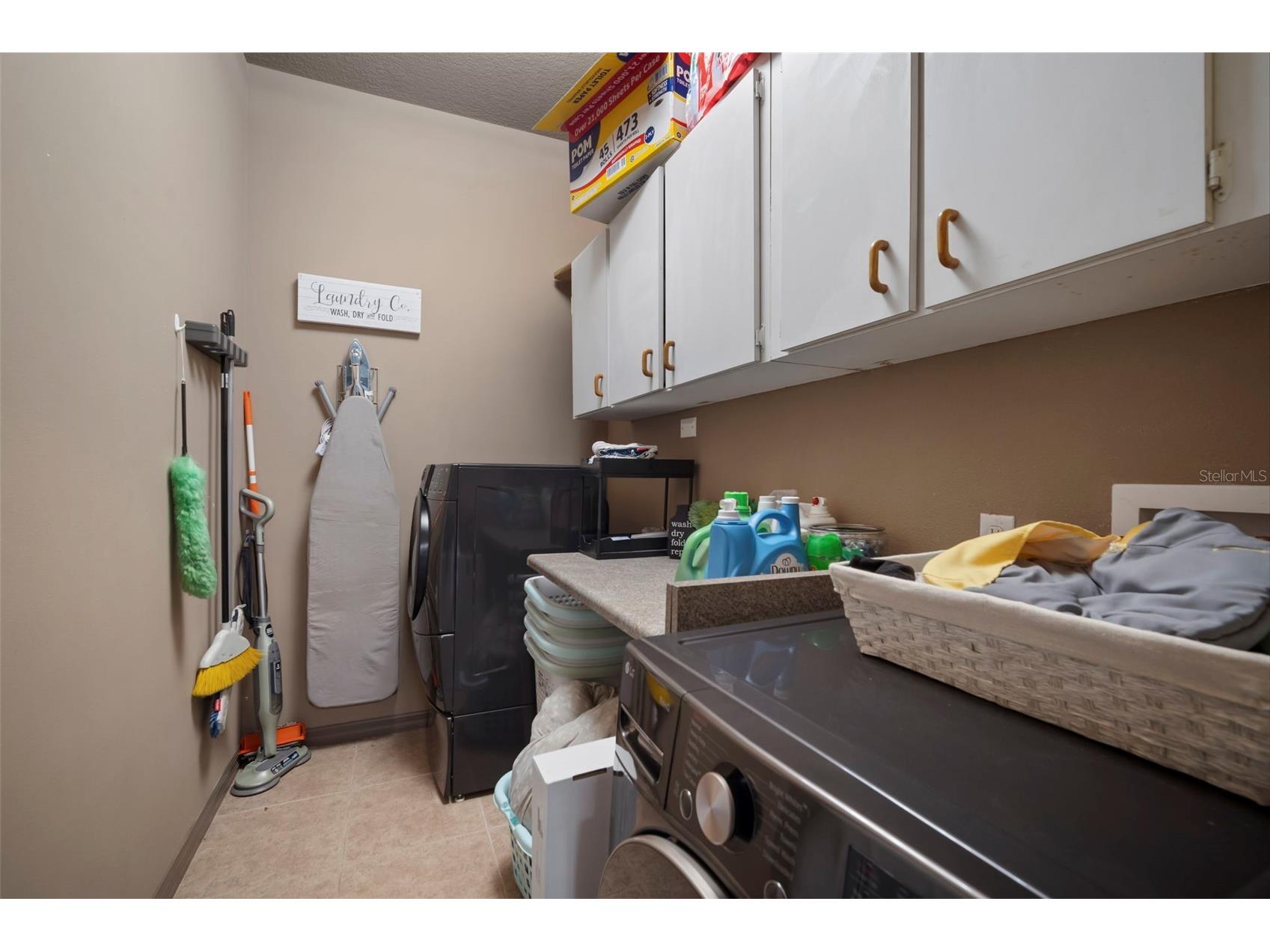 424 Summit Chase Drive Valrico FL 33594 TB8448937 image47