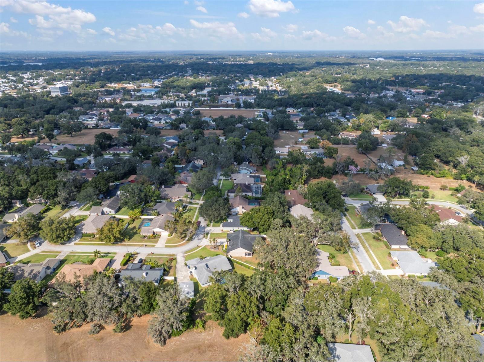 424 Summit Chase Drive Valrico FL 33594 TB8448937 image65